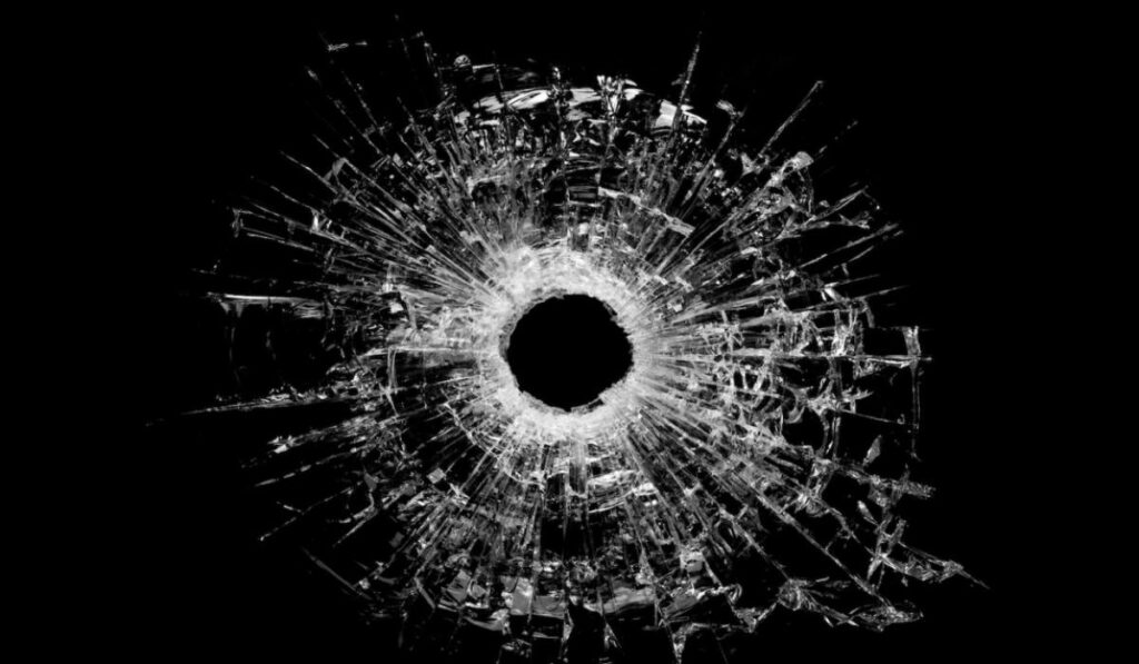 tinyurl.comlkmschromebookcheck