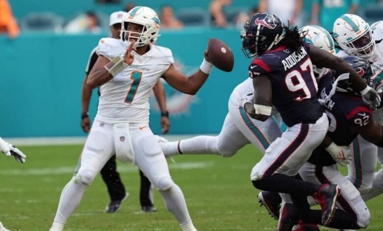 Miami Dolphins vs Texans Match Player Stats