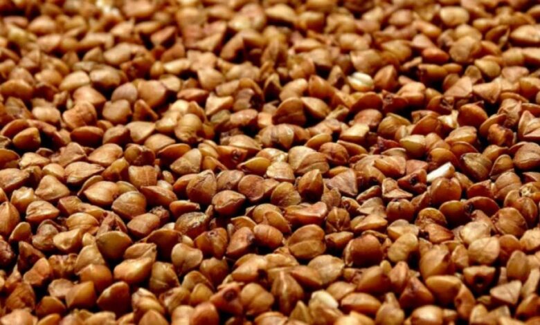 Обикновена елда