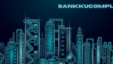 sankkucomplex
