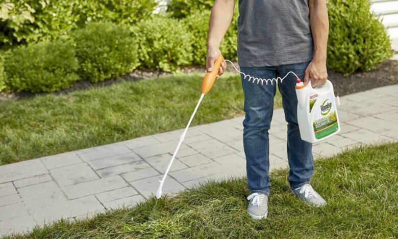 Best Weed Killer