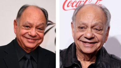 Cheech and Chong Net Worth