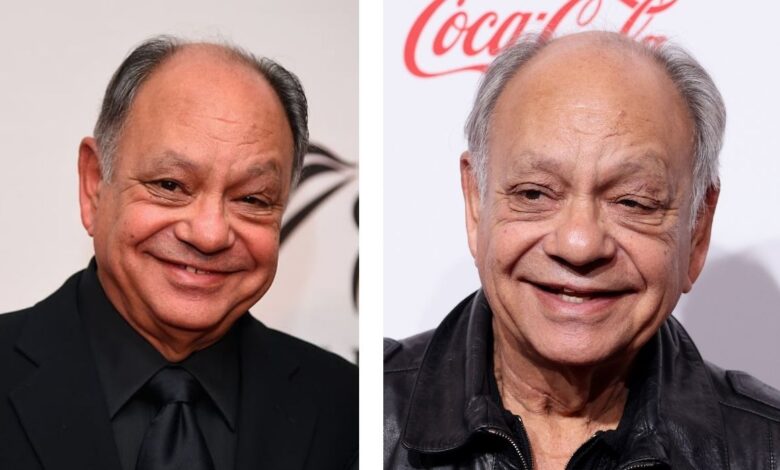 Cheech and Chong Net Worth