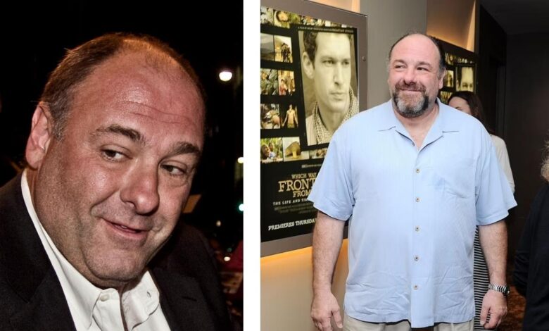 James Gandolfini