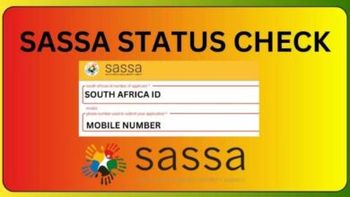 SASSA Grant R350 Status